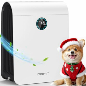 DBFIT H13 HEPA Air Purifier