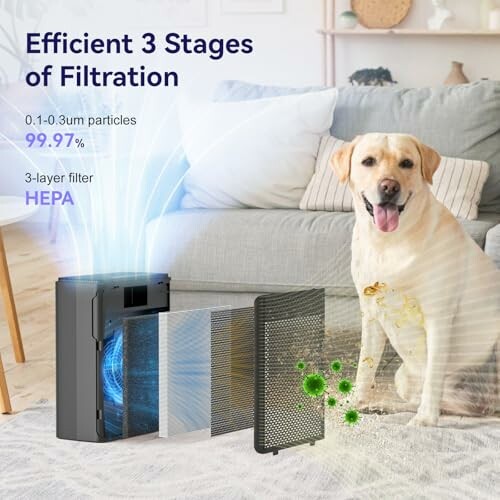 Air purifier with HEPA filter and a dog on a sofa.