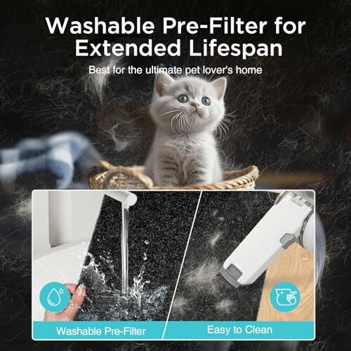 Cute kitten with washable pre-filter for extended lifespan, ideal for pet lovers.